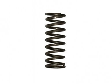 AR-15 LOWER RECEIVER SPRINGS 1